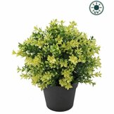 Buxus Kunstplanten voor binnen en buiten (UV bestendig)