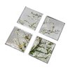 Goebel - Vincent van Gogh | Onderzetters Amandelboom zilver | 4 stuks - 10cm