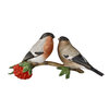 Goebel - Vogels | Decoratief beeld Paartje goudvinken | Porselein - 23cm - 2025