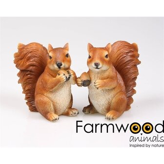 Farmwood Animals Eichh&ouml;rnchen-Set 2-teilig 14x8x14cm