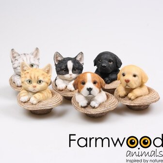 Farmwood Animals Hond en Kat in hoed (6 stuks) 8x8x8cm