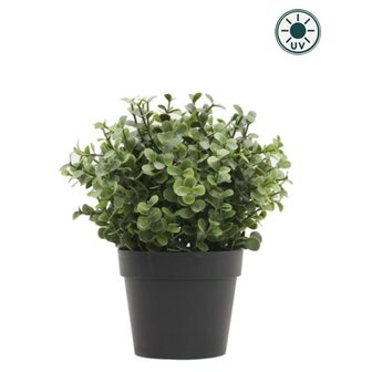 Kunstplant Buxus groen in pot