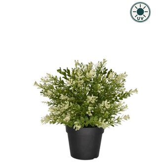 Kunstplant Buxus in pot 23cm UV - voor binnen en buiten