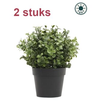 Kunstplant Buxus groen 19cm UV - voor binnen en buiten (2 stuks)