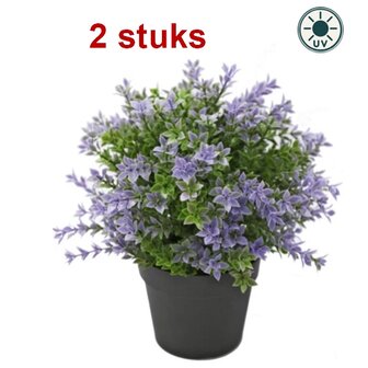 Kunstplant Buxus paars 22 cm UV - voor binnen en buiten (2 stuks)