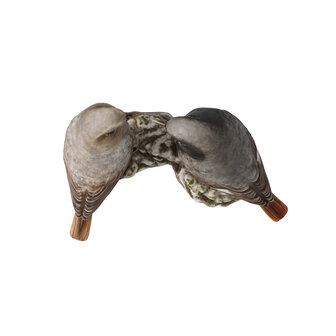 Goebel - Vogels | Decoratief beeld Vogel van het Jaar 2025 - Zwart roodstaartpaar | Porselein - 14cm