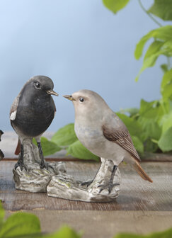 Goebel - Vogels | Decoratief beeld Vogel van het Jaar 2025 - Zwart roodstaartpaar | Porselein - 14cm