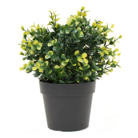 Kunstplant Buxus geel in pot 19 cm UV (voor binnen en buiten)