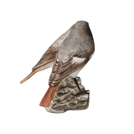 Goebel - Vogels | Decoratief beeld Vogel van het Jaar 2025 - Zwart roodstaartpaar | Porselein - 14cm