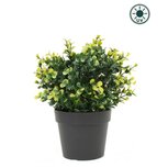 Kunstplant Buxus geel in pot 19 cm UV (voor binnen en buiten) Kunstplant Buxus geel in pot 19 cm UV (voor binnen en buiten)