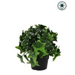 Kunstplant Klimop in pot 20cm UV - voor binnen en buiten Kunstplant Klimop in pot 20cm UV - voor binnen en buiten