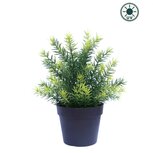 Kunstplant Asparagus in pot 23cm UV - voor binnen en buiten Kunstplant Asparagus in pot 23cm UV - voor binnen en buiten