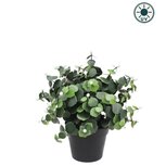 Kunstplant Eucalyptus wit in pot 22cm UV - voor binnen en buiten Kunstplant Eucalyptus wit in pot 22cm UV - voor binnen en buiten