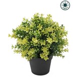Kunstplant Buxus geel 22cm UV - voor binnen en buiten Kunstplant Buxus geel 22cm UV - voor binnen en buiten