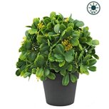 Kunstplant Groen/wit 21cm UV - voor binnen en buiten Kunstplant Groen/wit 21cm UV - voor binnen en buiten